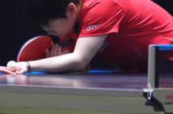 明尼苏达森林狼士气爆棚，WTT大满贯四强战遇上本菲卡，目标明确直指晋级的简单介绍